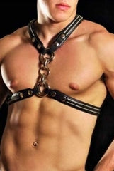 Leather Harness