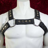 Leather Harness