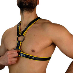 Leather Harness