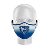 Face Mask13