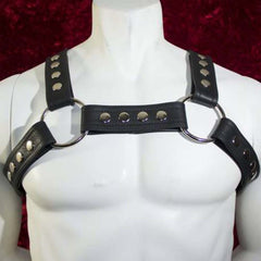 Leather Harness