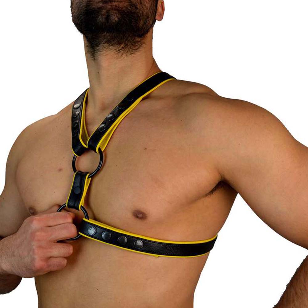 Leather Harness