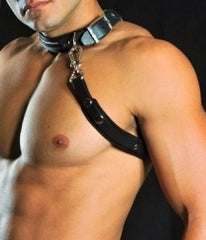 Leather Harness