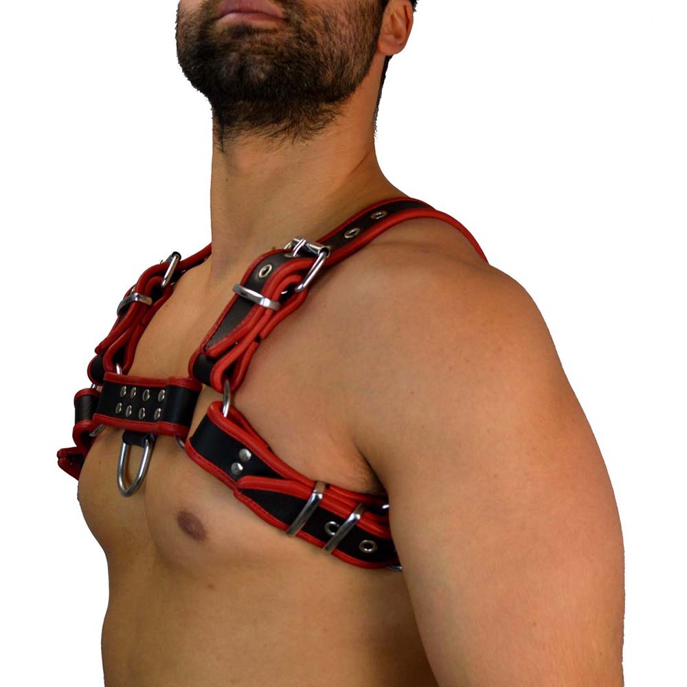 Leather Harness
