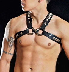 Leather Harness