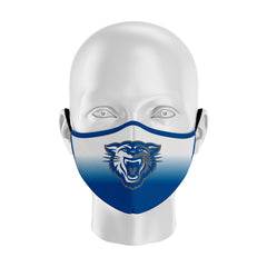 Face Mask13